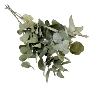 Wildflowers by Floriette - Dried Flowers | Eucalyptus Cinerea