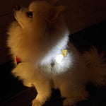 Load image into Gallery viewer, Kikkerland - Light Up Pet Name Tag
